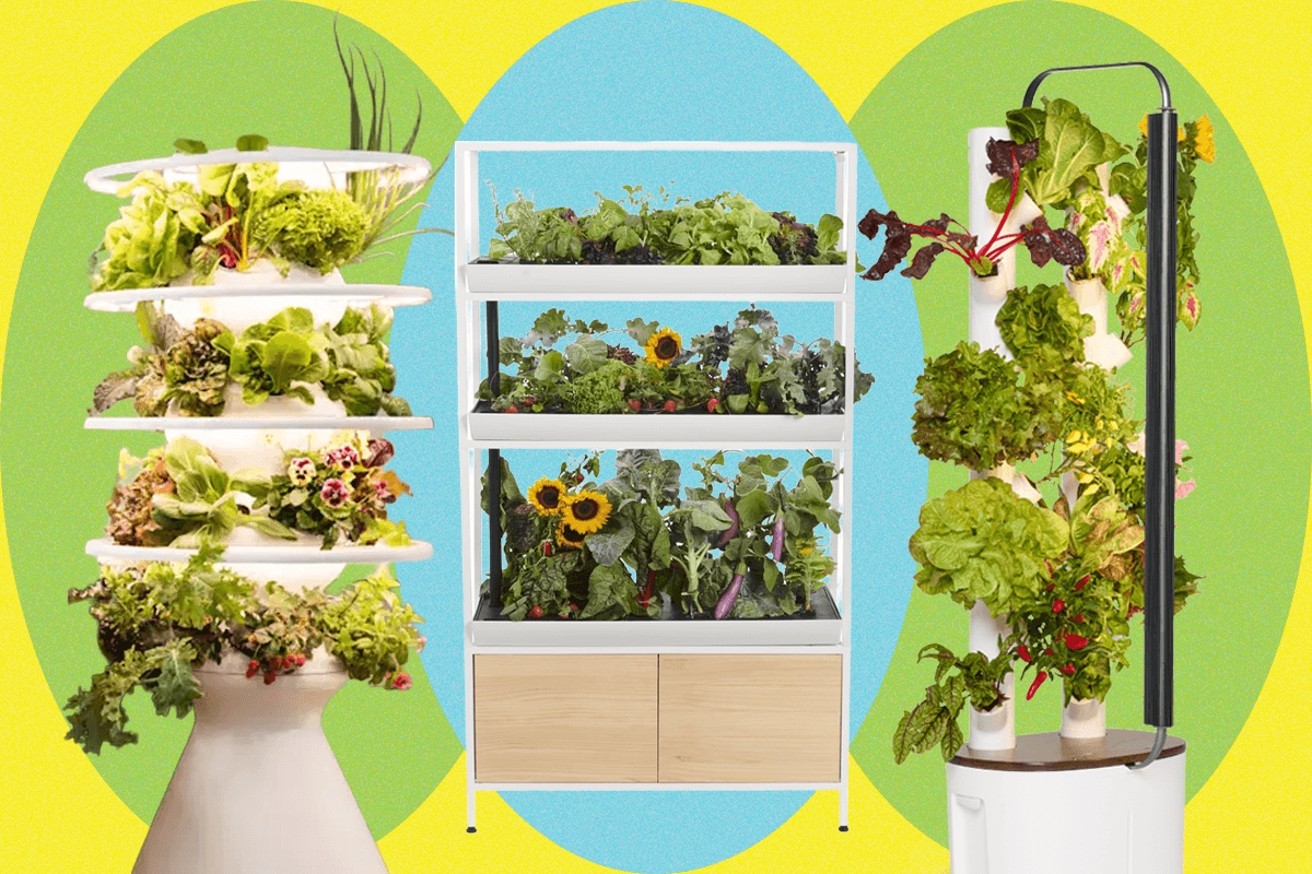 Indoor Gardening Systems and Automation Patterns