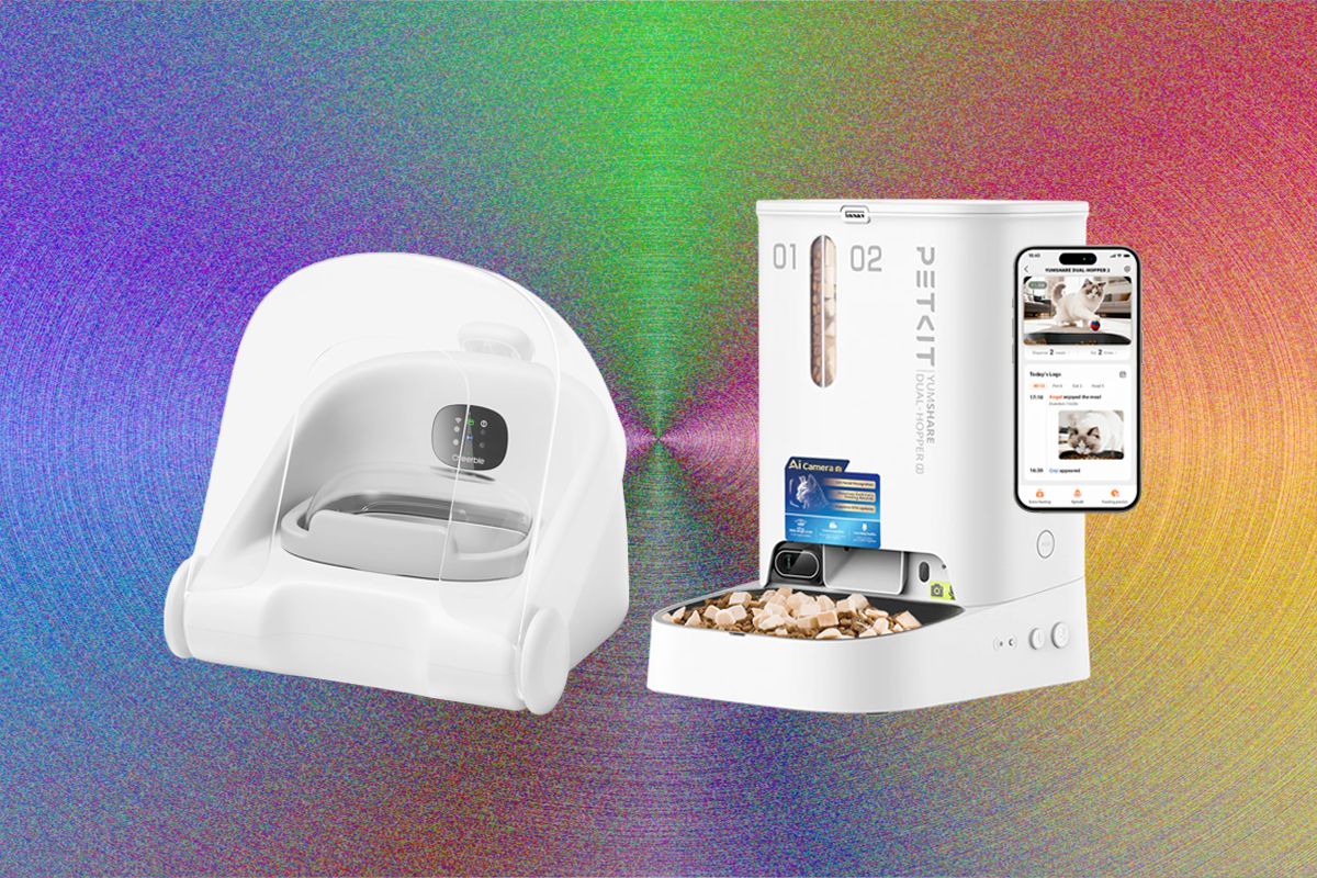 AI-Enabled Cat Feeders: Automation in Pet Care