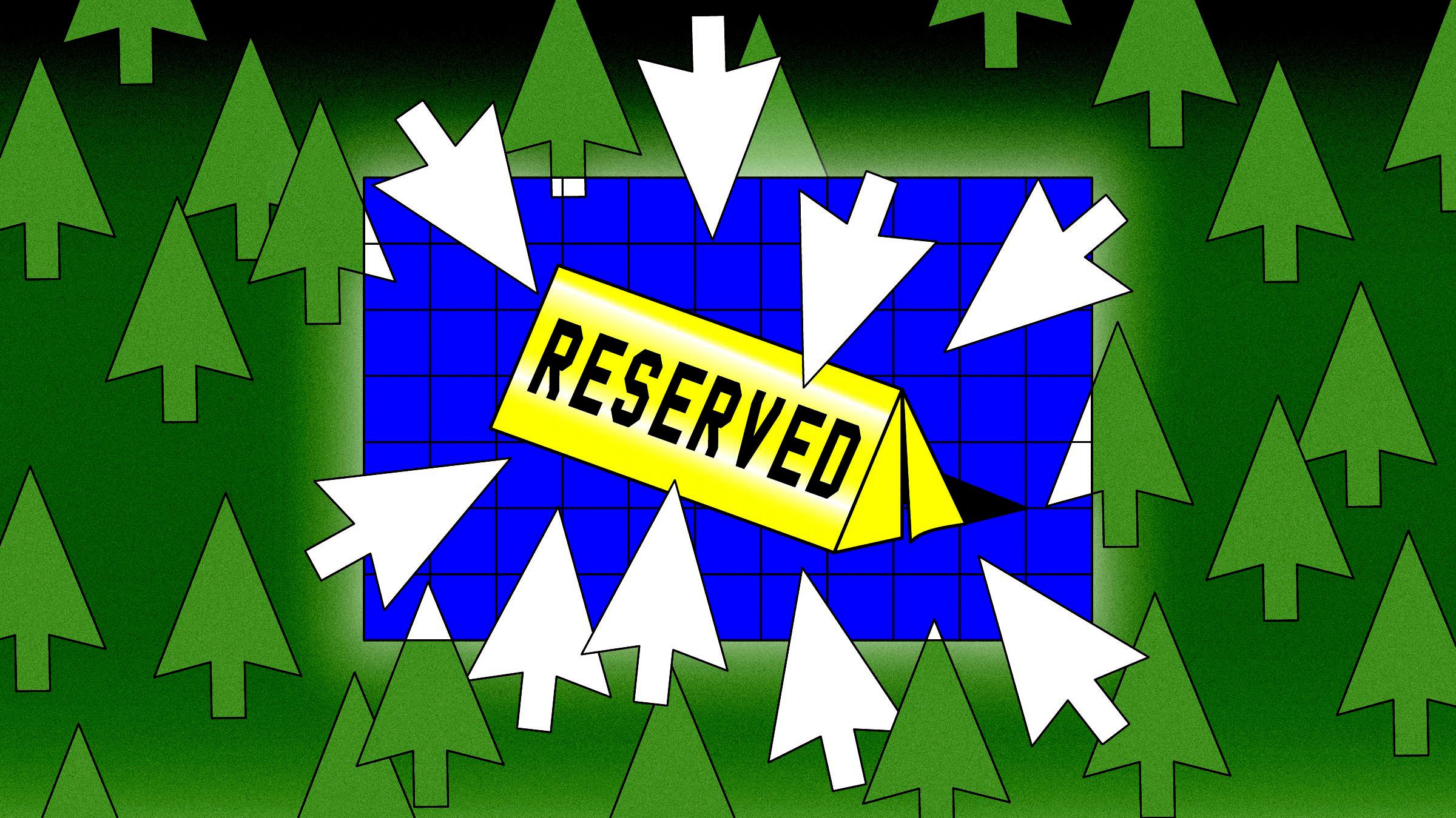 Recreation.gov's Challenges Reflect Broader System Patterns
