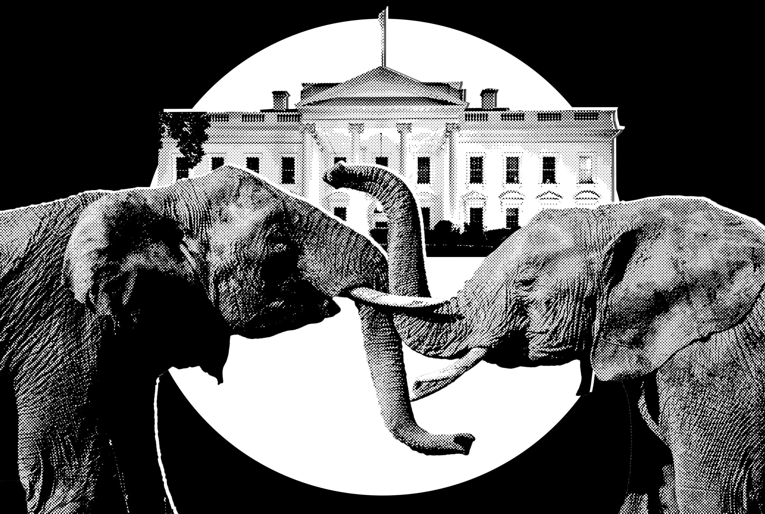 Trump's Endorsements: Election Dynamics and System Patterns
