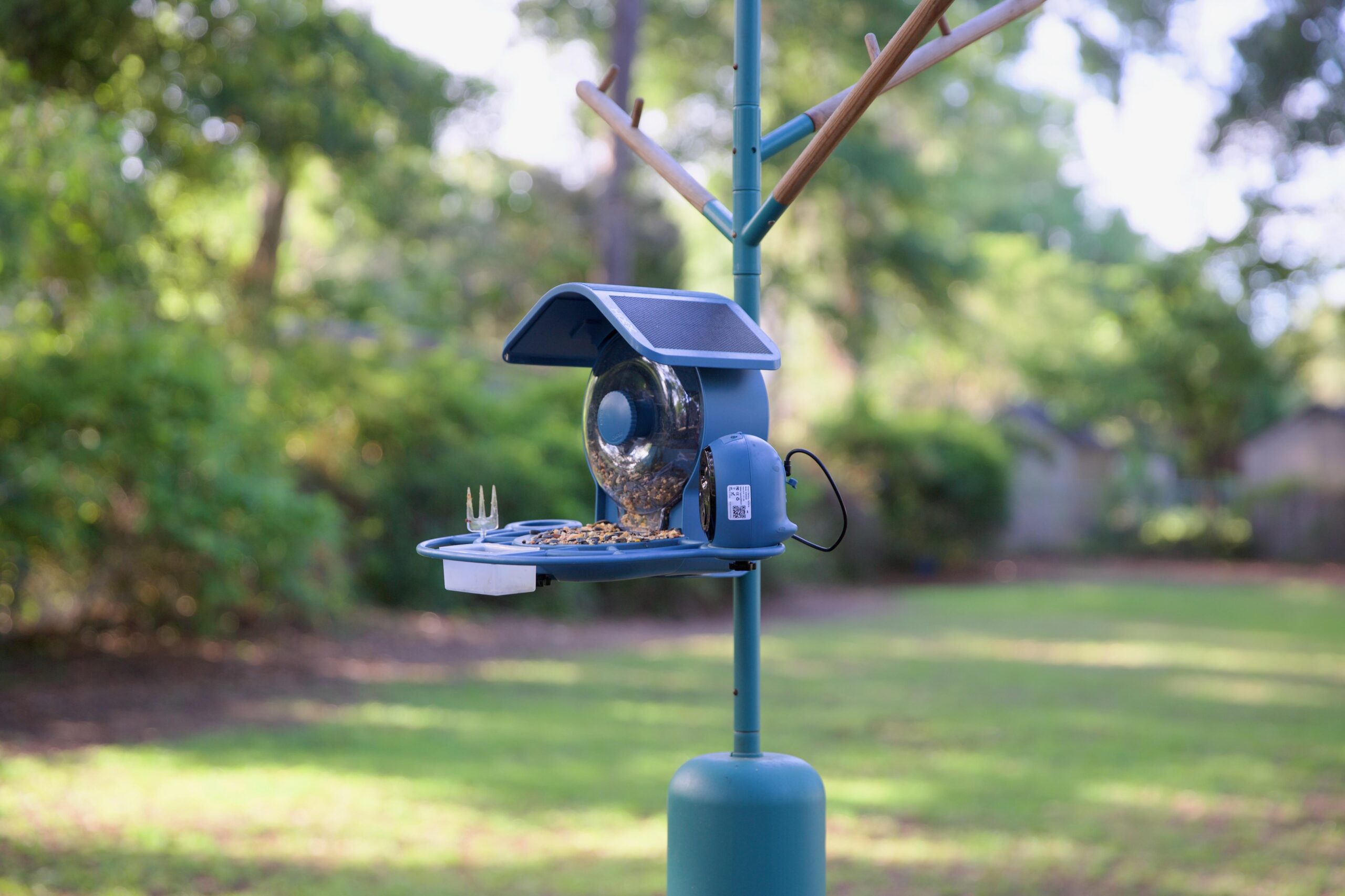 Smart Bird Feeders and the Evolution of Connected Outdoor Devices