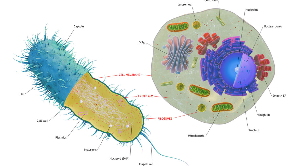 The Genetic Mosaic of Early Eukaryotic Evolution