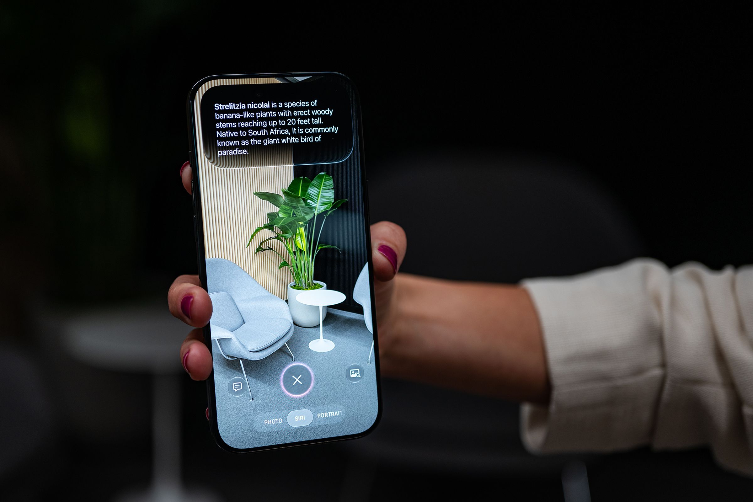 AI-Powered Photography: Apple's Measured Approach in iOS 27
