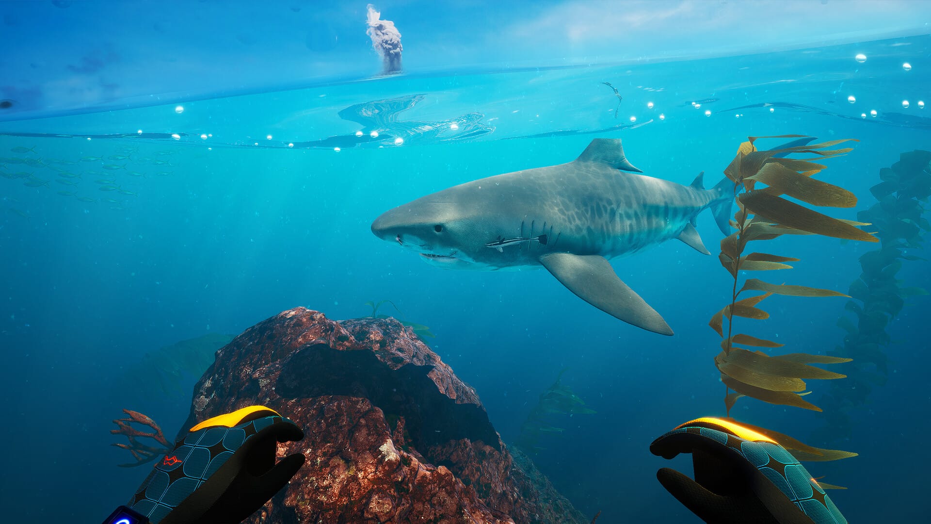 Makoa Shelf: Virtual Ocean Exploration Meets Real World Challenges