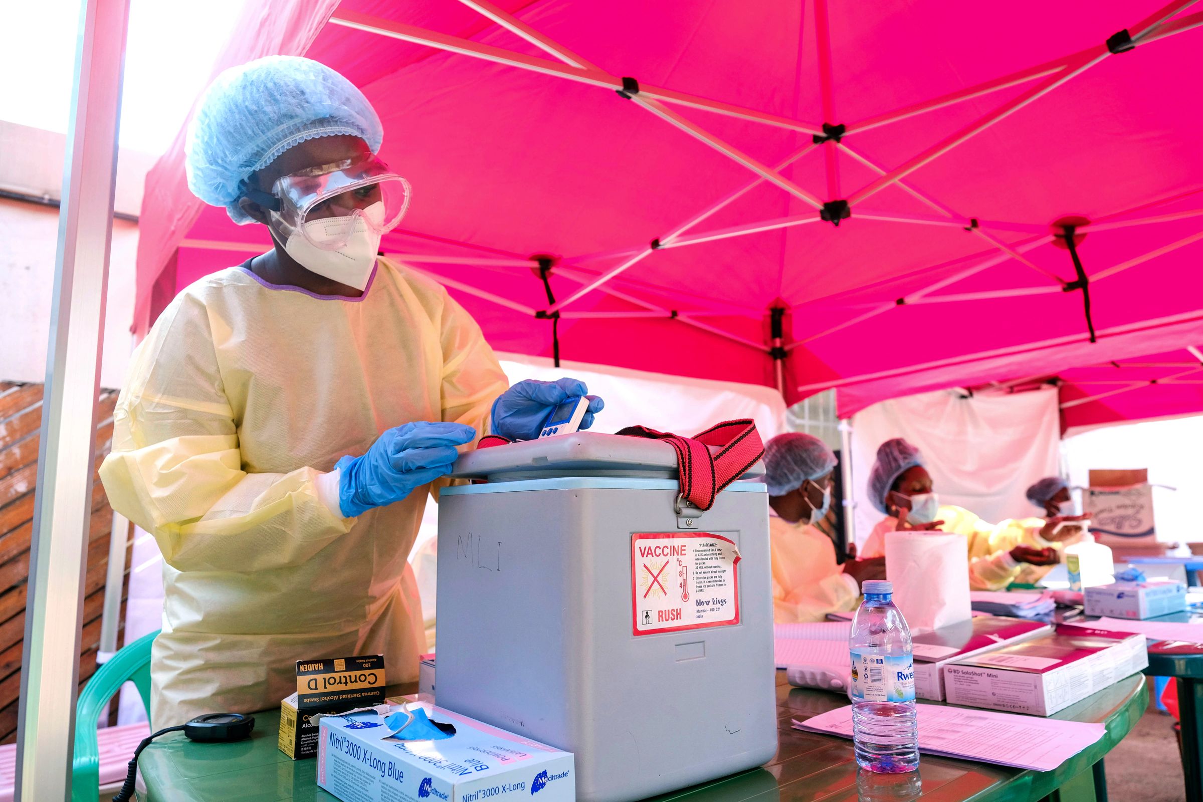 Ebola Vaccine: A Decade of Dormant Potential