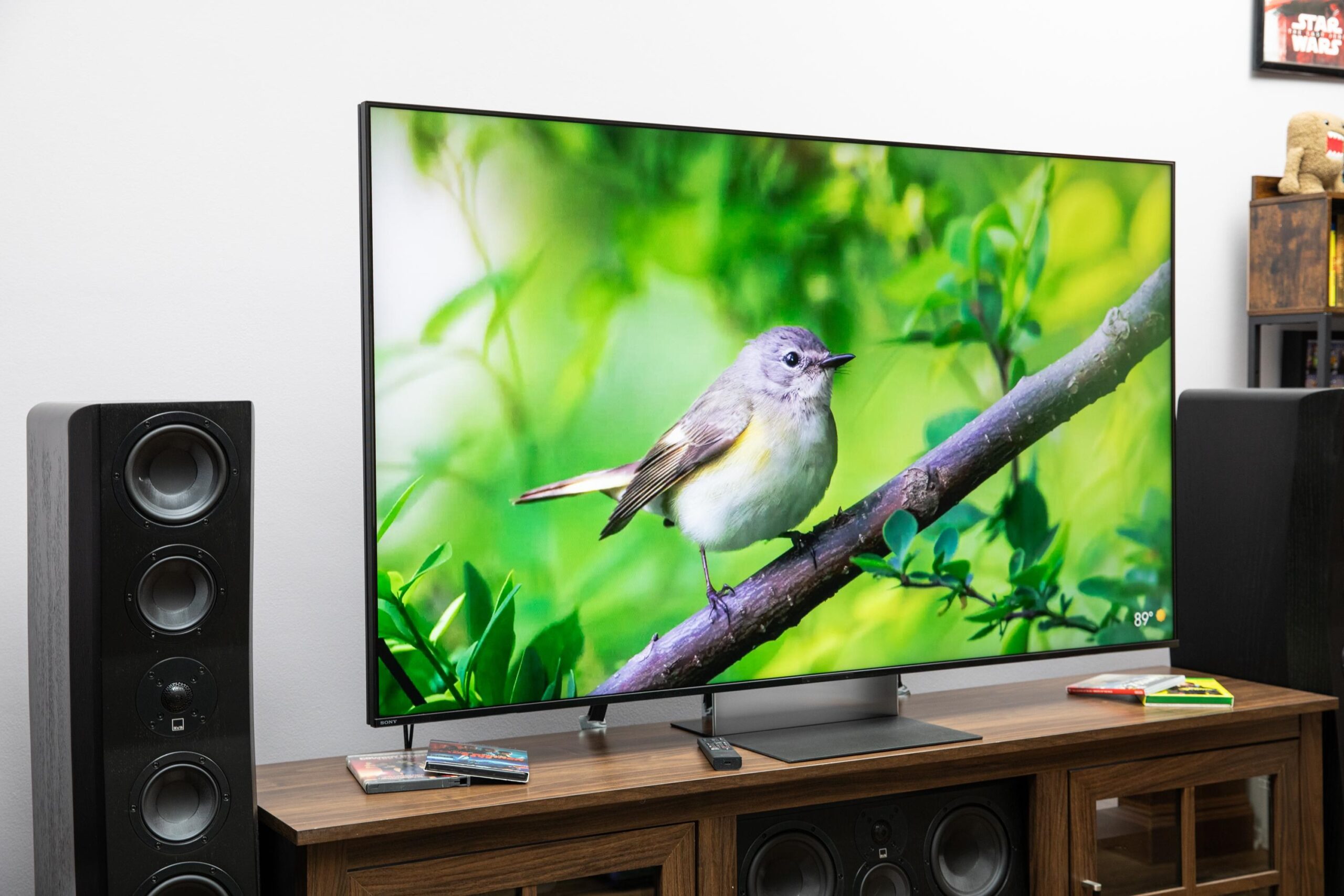 Sony Bravia 9 II: RGB LED TV and System Patterns