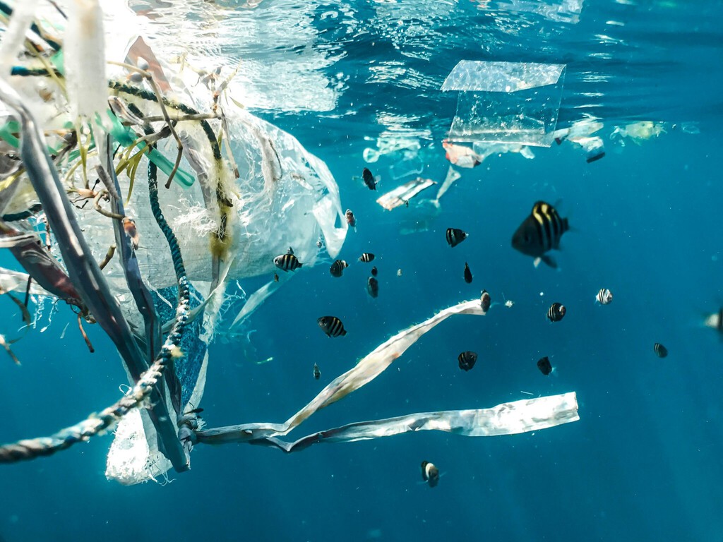 Fishing Industry's Hidden Role in Pacific Waste