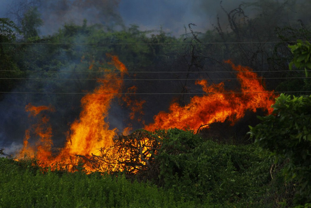 El éxodo rural alimenta incendios: la nueva crisis agrícola de España