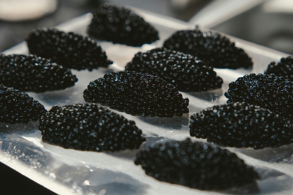 Caviar's Identity Crisis: Prices Drop and Luxury Redefined
