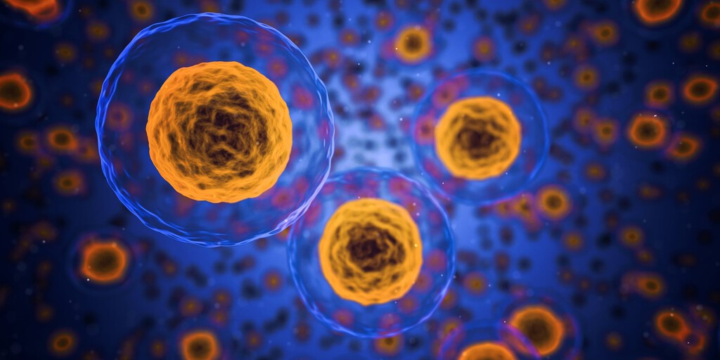 Zombie Cells and Aging: The Scientific Pursuit to Eliminate Them
