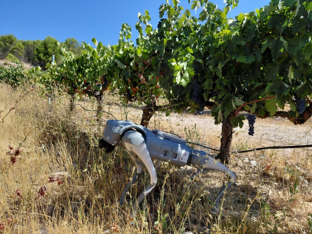AI-Powered Robot Dog Transforms Precision Agriculture