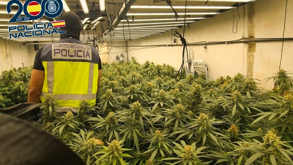 Drug Trafficking Charges Dropped Due to Incorrect Marijuana Weighing