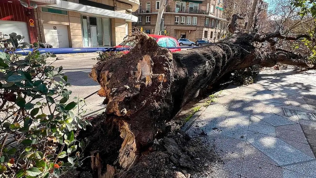 Zaragoza's Green Paradox Amid European Recognition