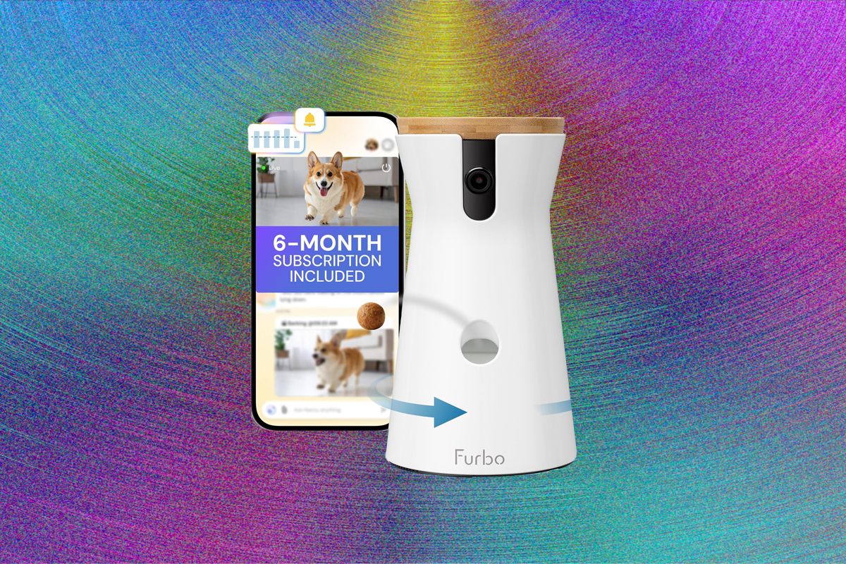 Analyzing the Evolution of Pet Cameras: AI and Automation at Play