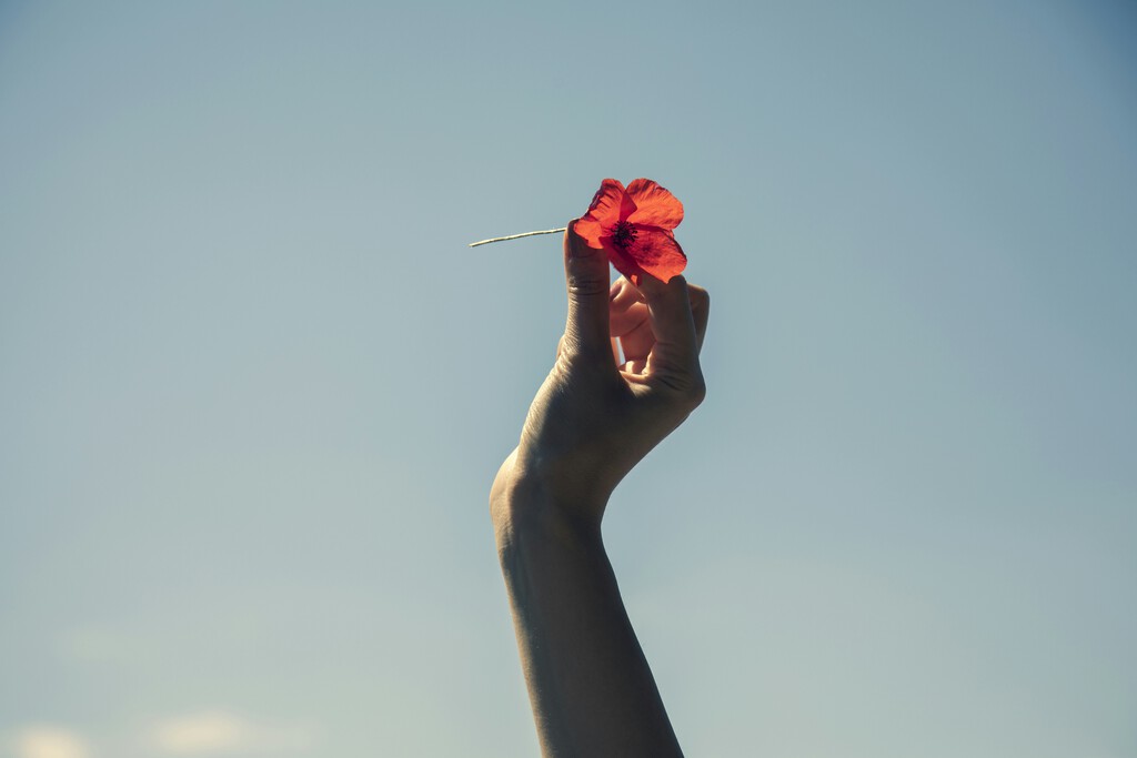 ¿Puede la IA convertirse en el objeto del amor humano?
